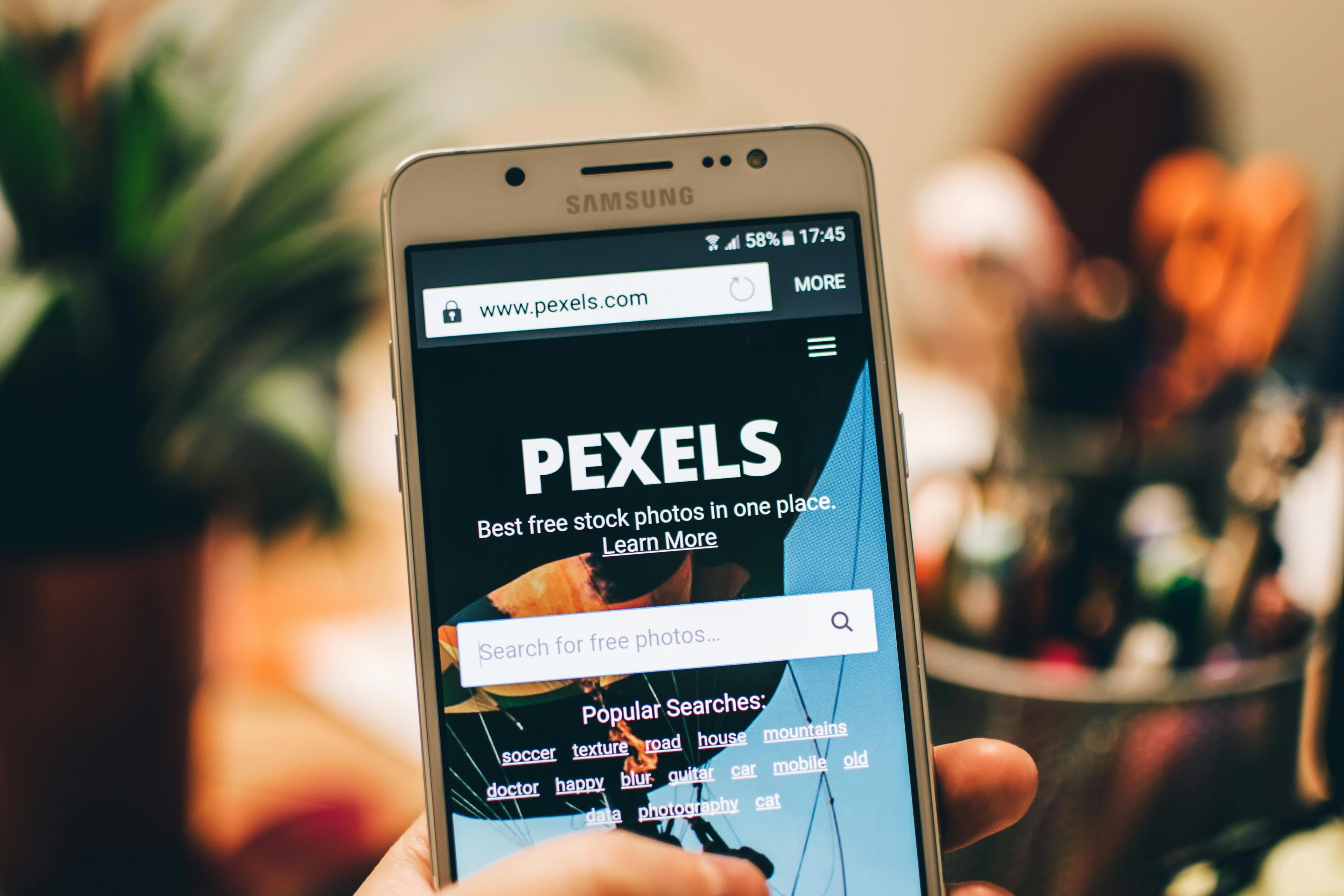 Apa Itu Pexels? microstock terbaik kah?